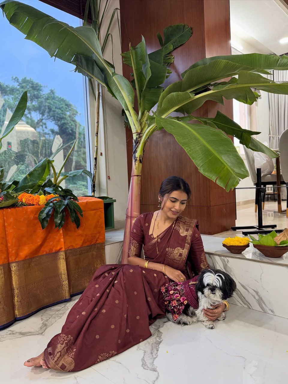 Super Zari Weaving Elephant Border Viscose Russian Silk Saree With Blouse